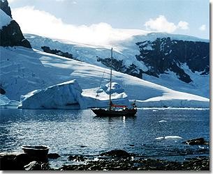 Taonui in Antarctica